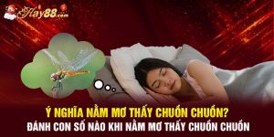 y nghia nam mo thay chuon chuon danh con so nao khi nam mo thay chuon chuon