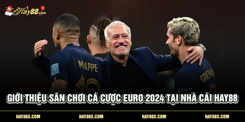 Giới thiệu sân chơi cá cược Euro 2024 tại nhà cái Hay88