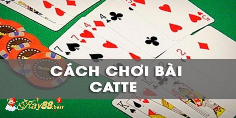 Hướng dẫn chơi bài Catte và những kinh nghiệm đánh chắc thắng