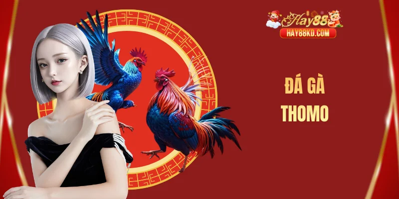 Đá gà Thomo