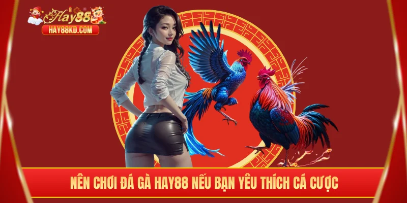 Nên chơi đá gà Hay88 nếu bạn yêu thích cá cược