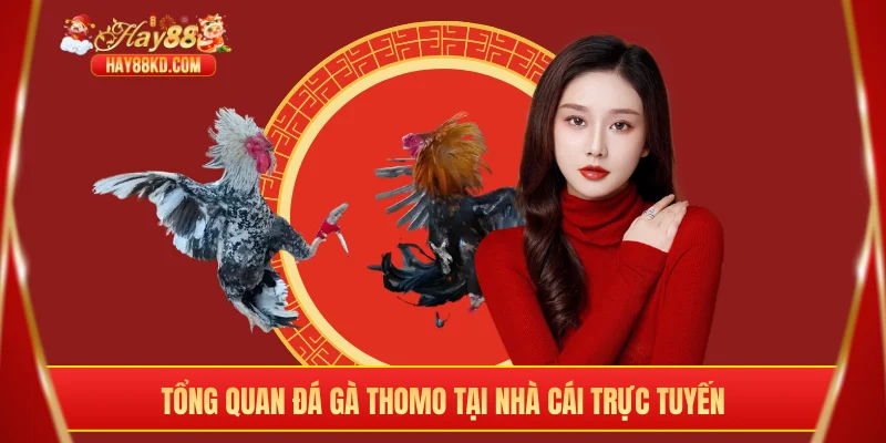 Tổng quan đá gà Thomo tại nhà cái trực tuyến