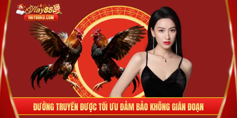 Đường truyền được tối ưu đảm bảo không gián đoạn